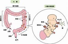 女性膀胱炎的症状