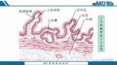 索菲亚最为辉煌的成就出现在2009年